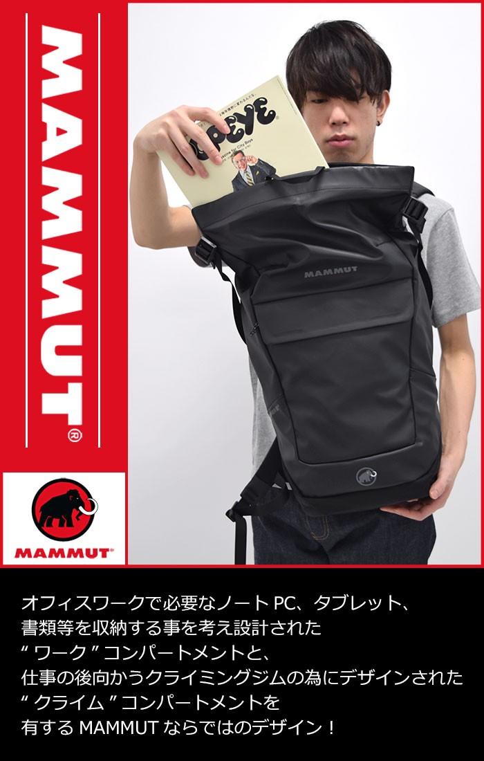 マムート MAMMUT リュック セオン クーリエ SE バックパック(mammut 