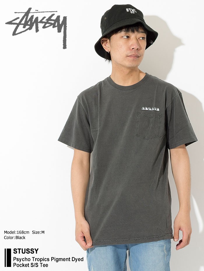 STUSSY（ステューシー） Tシャツ 半袖 メンズ Psycho Tropics Pigment