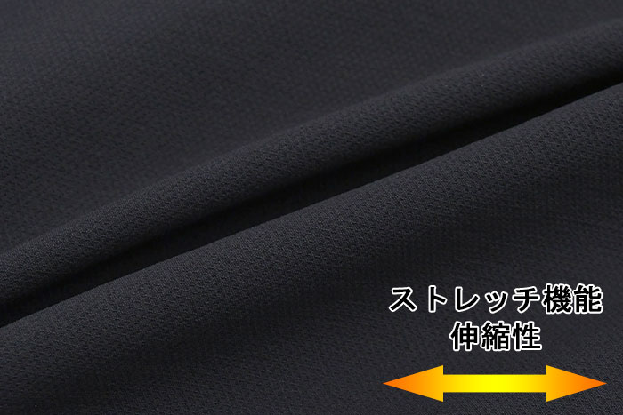 Jack Wolfskin ジャックウルフスキン パンツ メンズ アジア