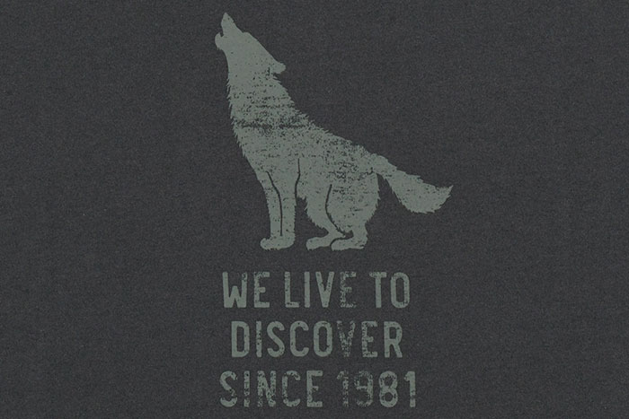 Jack Wolfskin（ジャックウルフスキン） Tシャツ 半袖 メンズ