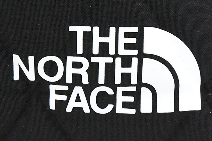 THE NORTH FACEザ ノースフェイスのバッグ Geoface Box Tote Bag09