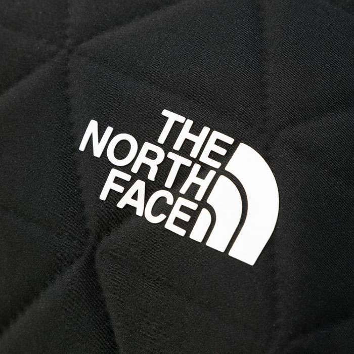 THE NORTH FACEザ ノースフェイスのバッグ Geoface Box Tote Bag08