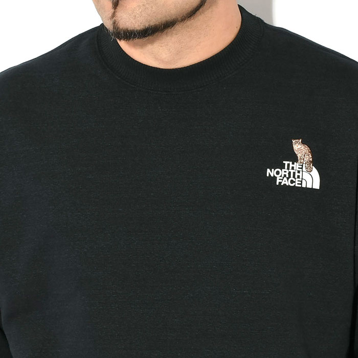 THE NORTH FACE ザ・ノース・フェイス トレーナー メンズ 25SS