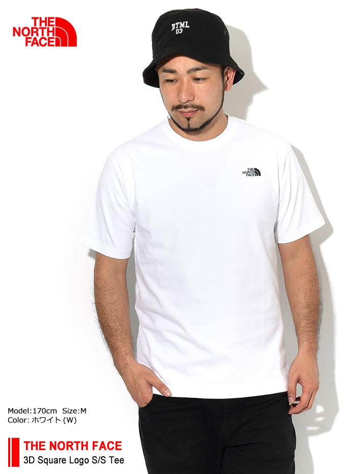 ザ ノースフェイス Tシャツ 半袖 The North Face メンズ 3d スクエア ロゴ 3d Square Logo S S Tee カットソー トップス Nt310 Ice Field 通販 Paypayモール