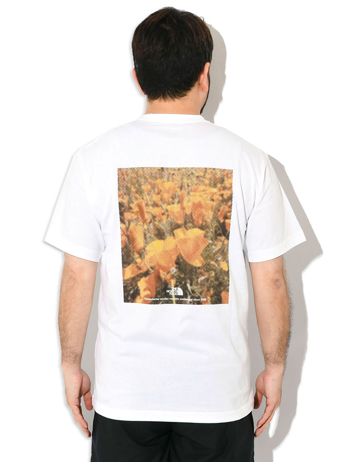 THE NORTH FACE ザ・ノース・フェイス Tシャツ 半袖 メンズ