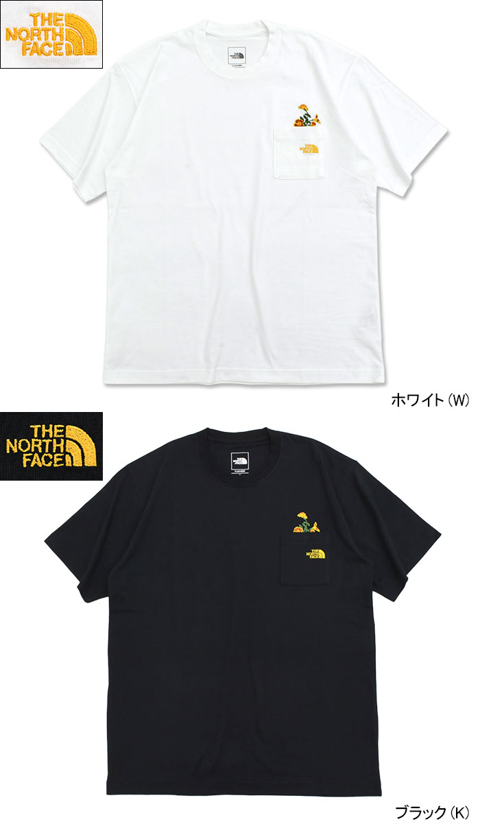 THE NORTH FACE（ザ ノースフェイス） Tシャツ 半袖 メンズ フラッシュ