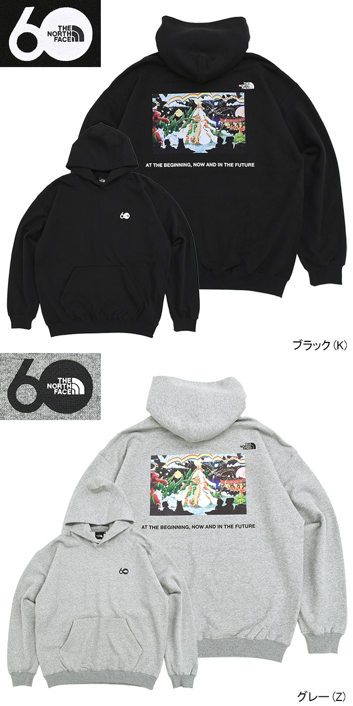THE NORTH FACE（ザ ノースフェイス） パーカー プルオーバー メンズ