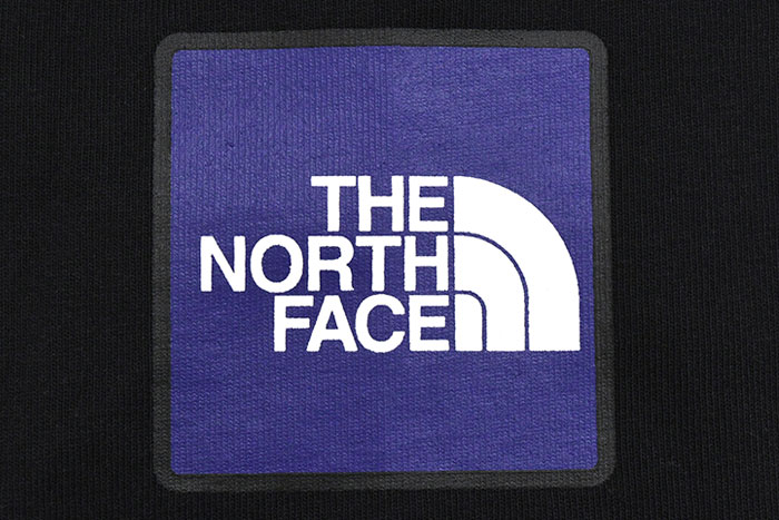 ザ ノースフェイス ロンT Tシャツ 長袖 THE NORTH FACE メンズ