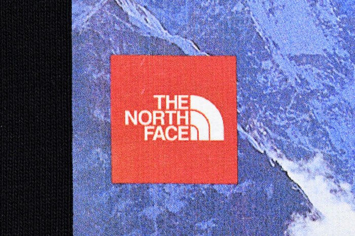 THE NORTH FACEザ ノースフェイスのTシャツ 30th Nuptse13