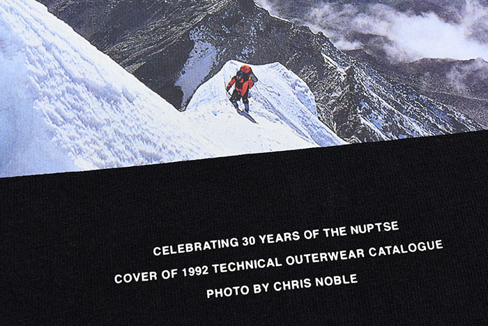 THE NORTH FACEザ ノースフェイスのTシャツ 30th Nuptse14