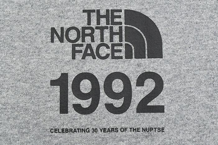 THE NORTH FACEザ ノースフェイスのTシャツ 30th Nuptse09