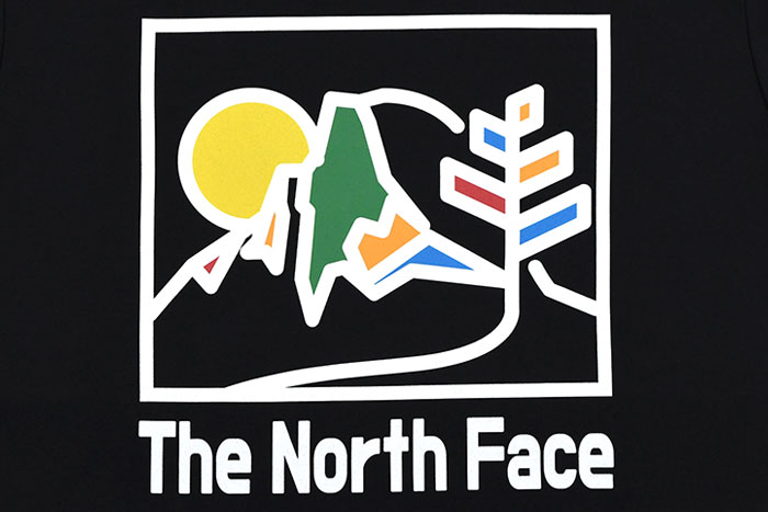 THE NORTH FACEザ ノースフェイスのTシャツ Yosemite Graphic15