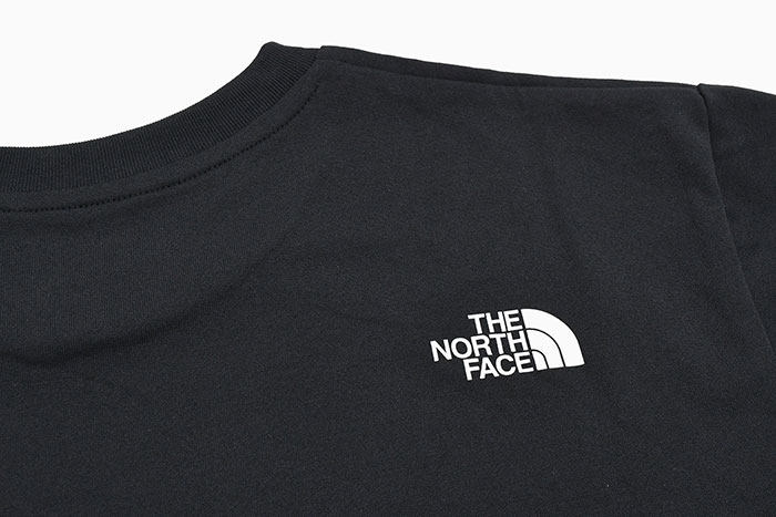 THE NORTH FACEザ ノースフェイスのTシャツ Yosemite Graphic18