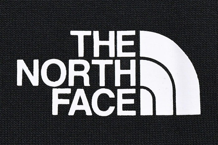 THE NORTH FACEザ ノースフェイスのTシャツ Yosemite Graphic19