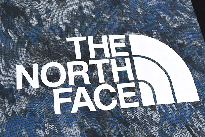 THE NORTH FACEザ ノースフェイスのTシャツ Square Digital Graphic10