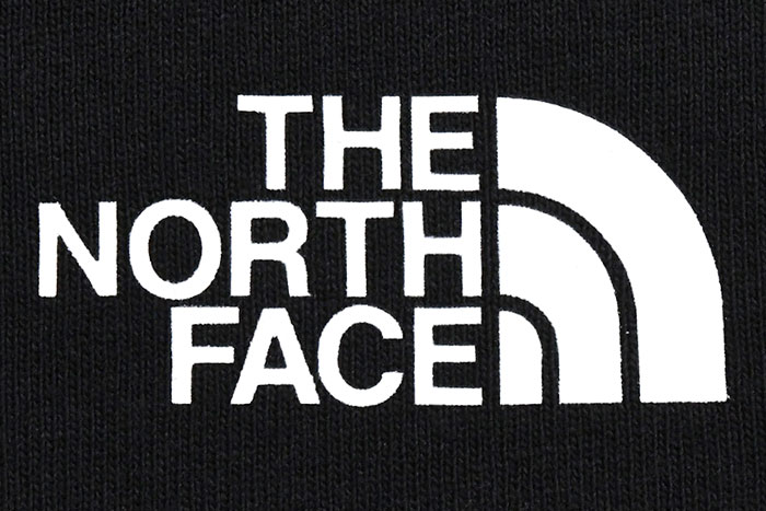 THE NORTH FACEザ ノースフェイスのTシャツ Square Digital Graphic08