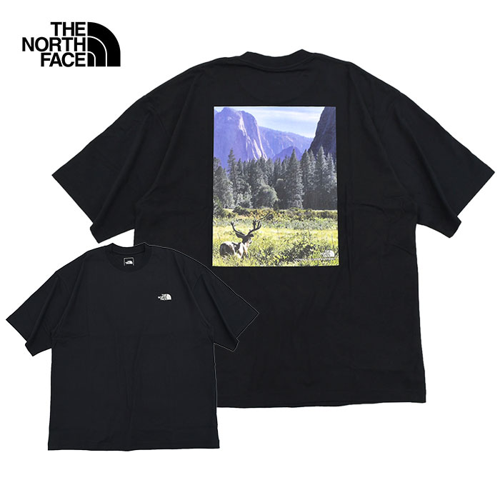ザ・ノース・フェイス Tシャツ 半袖 THE NORTH FACE メンズ ヨセミテ シーナリー ( Yosemite Scenery S/S Tee 2025春夏 UVカット NT32436 国内正規 )[M便 1/1] | THE NORTH FACE | 03