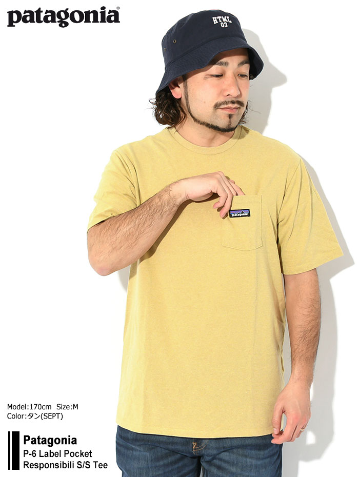 patagonia パタゴニア Tシャツ 半袖 Patagonia メンズ P-6