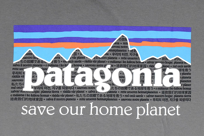 patagonia パタゴニア Tシャツ 半袖 Patagonia メンズ P-6