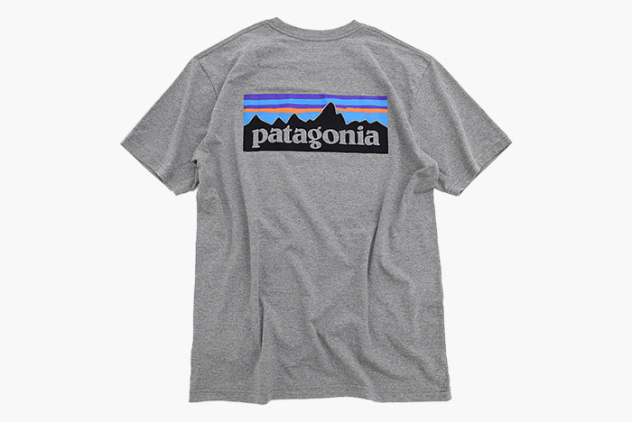 PatagoniaパタゴニアのTシャツ P-6 Logo Responsibili14