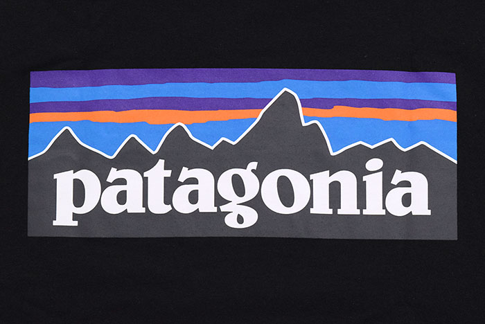 PatagoniaパタゴニアのTシャツ P-6 Logo Responsibili15