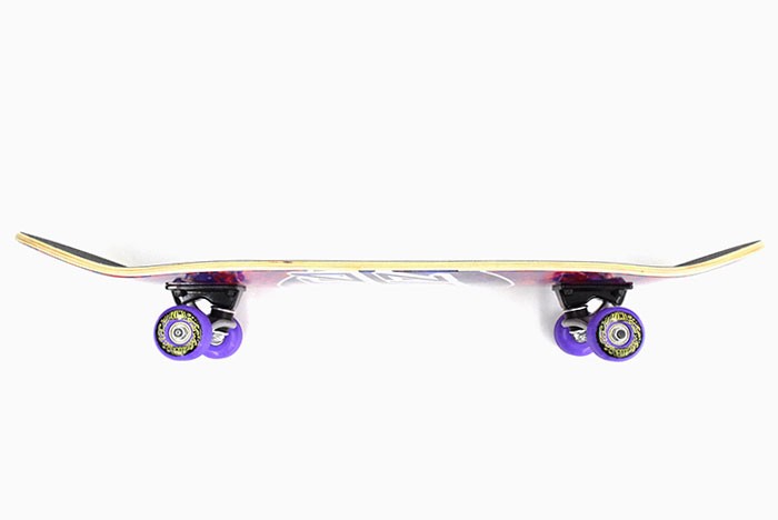 SANTA CRUZ（サンタクルーズ） スケボー スケートボード コンプリート