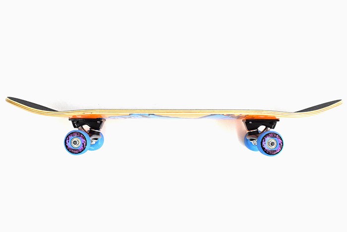 SANTA CRUZ サンタクルーズ スケボー スケートボード
