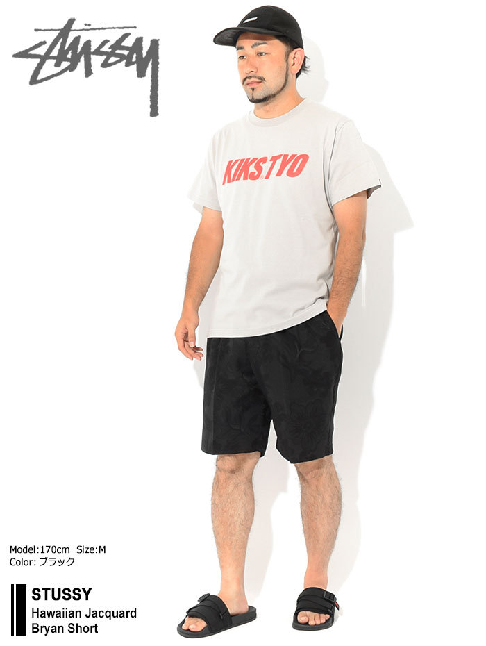 STUSSY ステューシー ハーフパンツ メンズ Hawaiian Jacquard