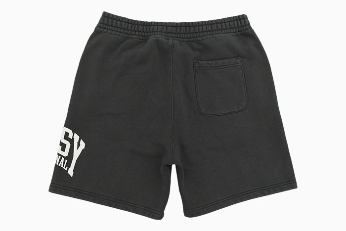 STUSSYステューシーのパンツ Stussy INTL Short10