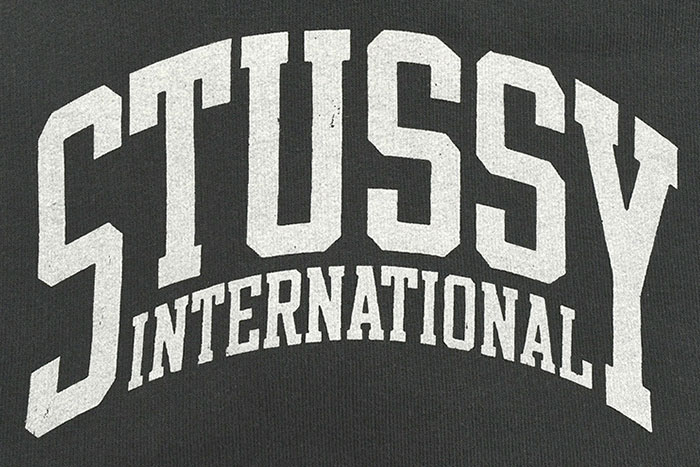 STUSSYステューシーのパンツ Stussy INTL Short09