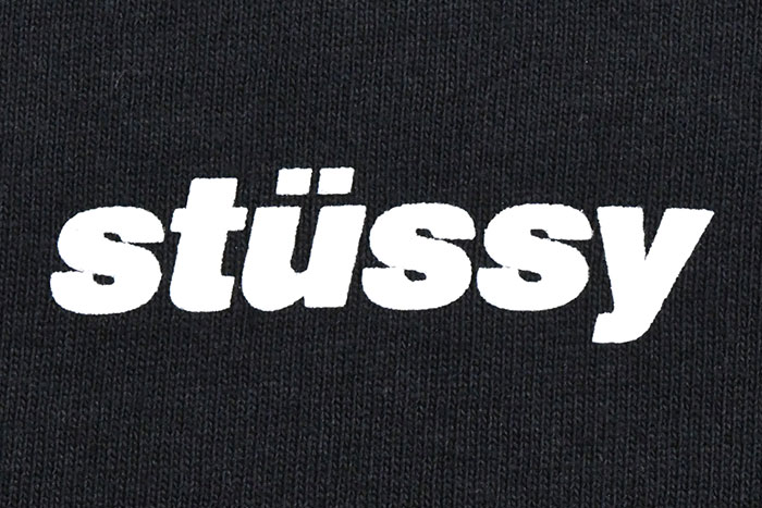 STUSSYステューシーのカットソー Wave Crew06