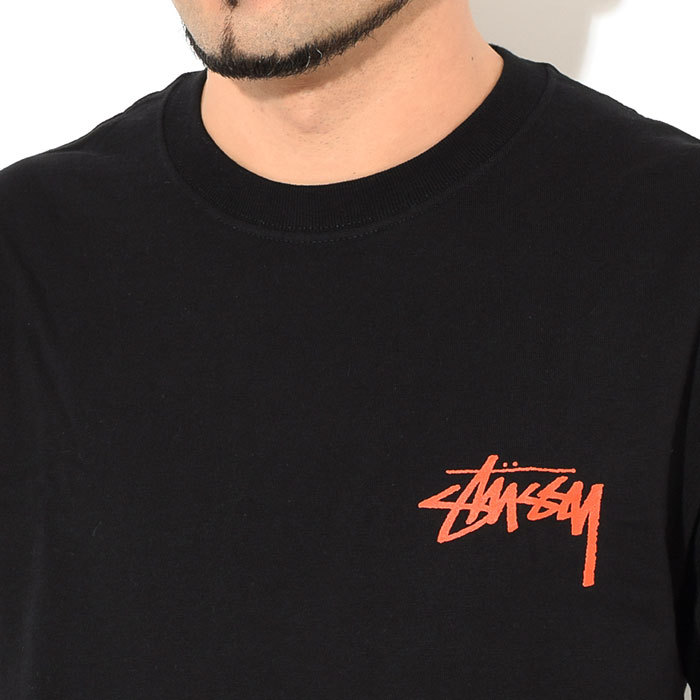 STUSSY ステューシー Tシャツ 半袖 メンズ & レディース 21SU
