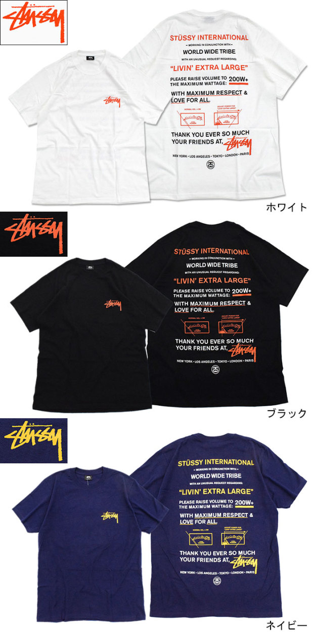 STUSSY ステューシー Tシャツ 半袖 メンズ Maximum Respect