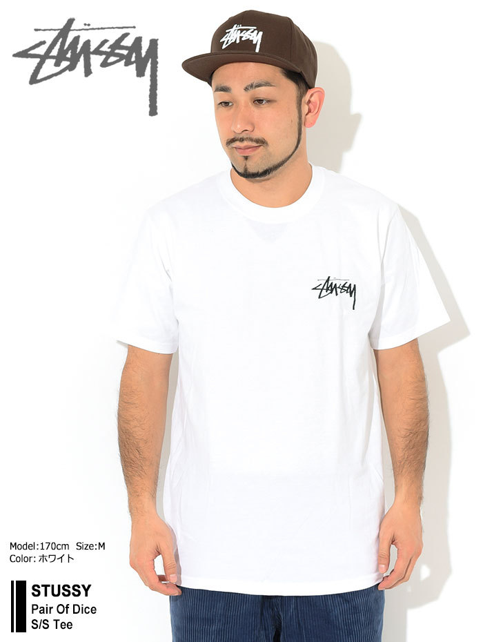 STUSSY ステューシー Tシャツ 半袖 メンズ Pair Of Dice