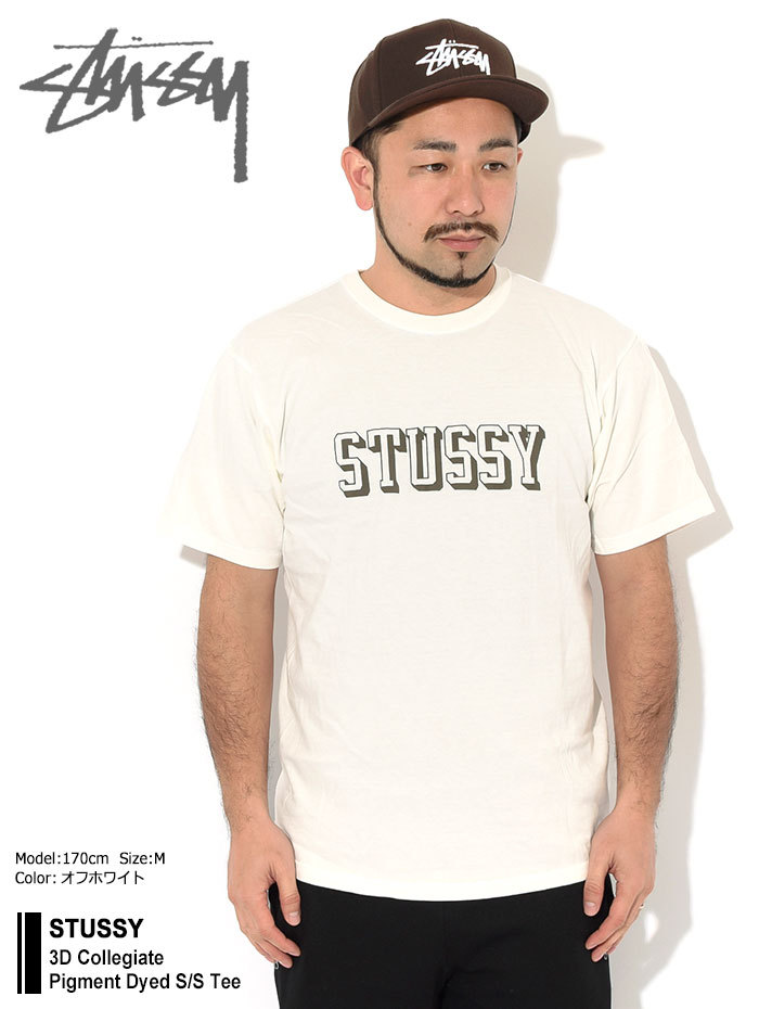 STUSSY ステューシー Tシャツ 半袖 メンズ 3D Collegiate