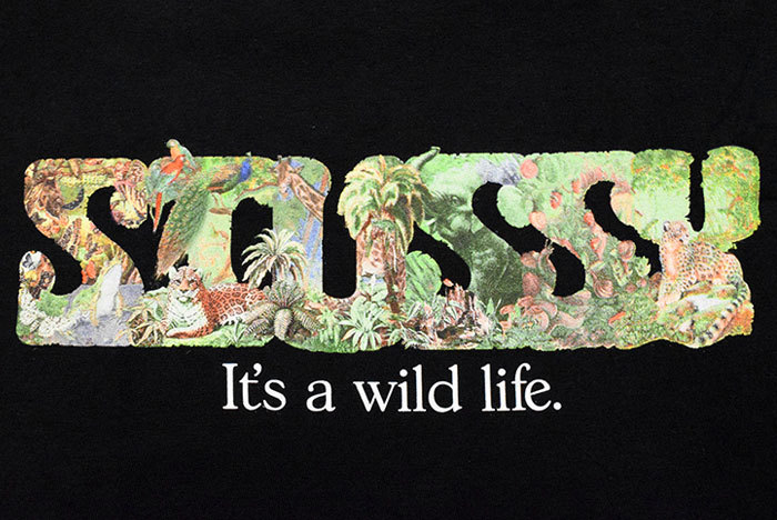 STUSSY ステューシー Tシャツ 半袖 メンズ & レディース Its A