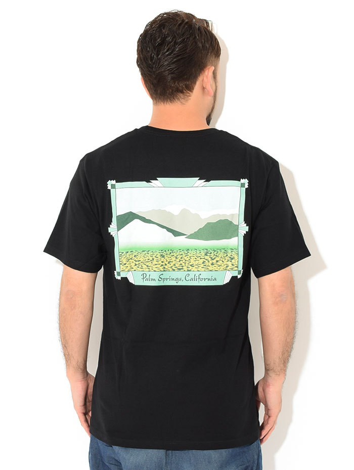 STUSSY まとめ売り Tシャツ 長袖半袖 セット 福袋 STUSSY（ステューシー） Tシャツ 半袖 メンズ & レディース Palm