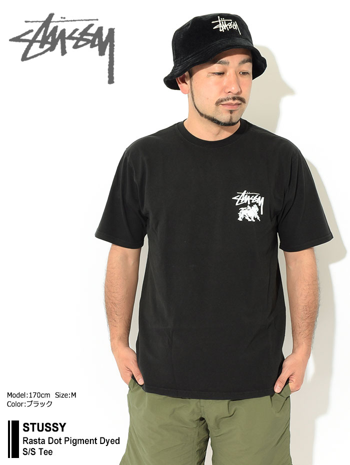 STUSSY Tシャツ ステューシー) STUSSY HEADZ RAGLAN (SS:TEE)(014741-GR) T