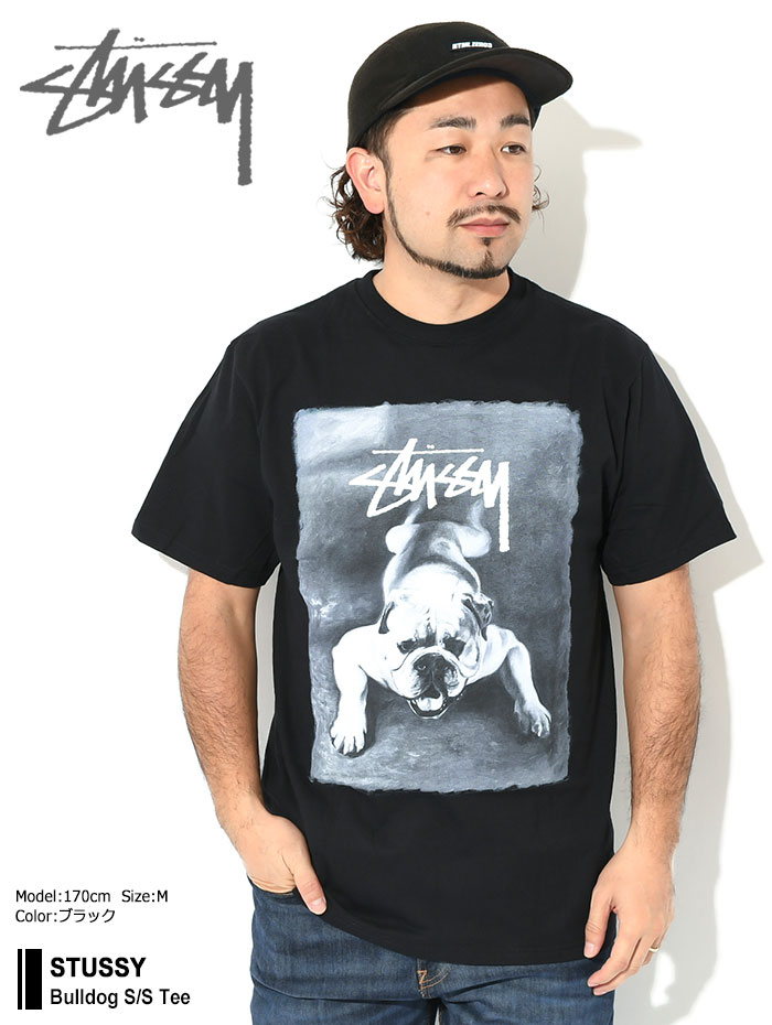 STUSSY ステューシー シャツ 半袖 メンズ Tie Dye ( stussy