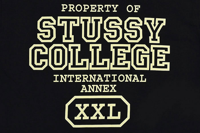 STUSSY ステューシー Tシャツ 半袖 メンズ Property Of ( stussy