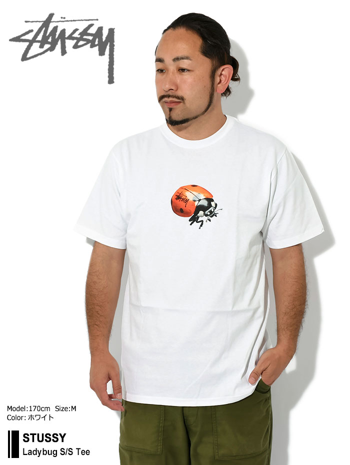 ステューシー Tシャツ 半袖 STUSSY メンズ Ladybug ( stussy tee T