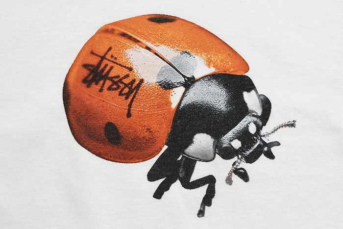STUSSY ステューシー Tシャツ 半袖 メンズ Ladybug ( stussy tee