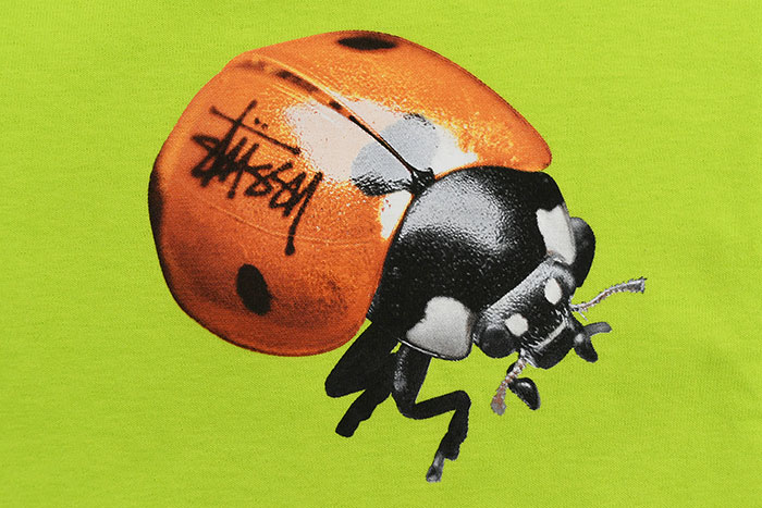 STUSSYステューシーのTシャツ Ladybug06