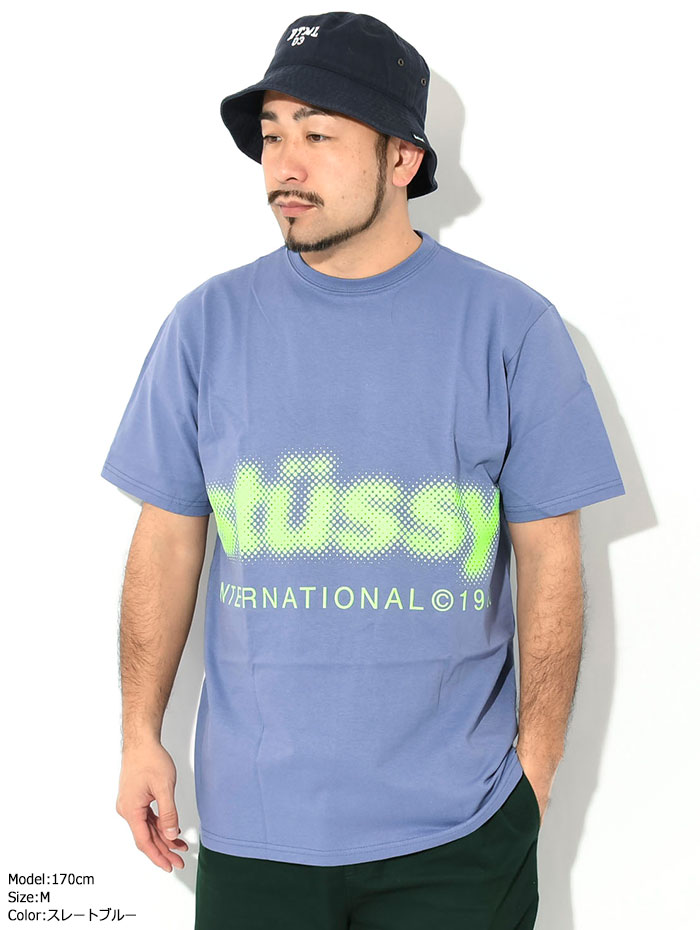 ステューシー Tシャツ 半袖 STUSSY メンズ Blur ( stussy tee T-SHIRTS カットソー トップス 男性用 1904972  USAモデル 正規 )[M便 1/1]