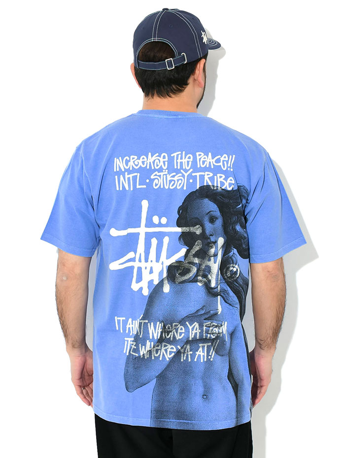 STUSSY ステューシー Tシャツ 半袖 メンズ IST Venus Pigment