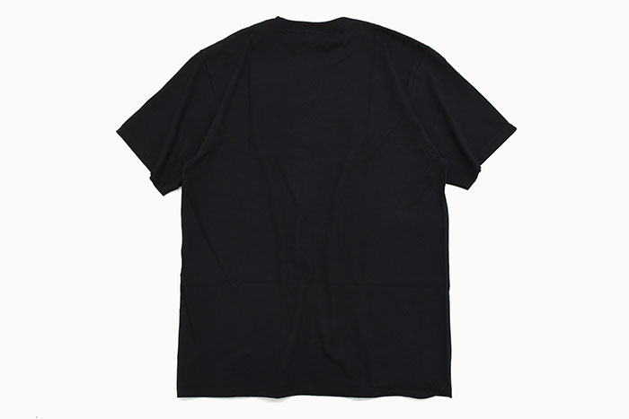 ステューシーカットソー STUSSY ステューシー カットソー 長袖 メンズ Pigment Dyed