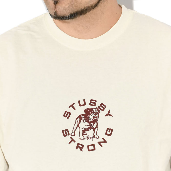★STUSSY★SUPERIOR QUALITY T-SHIRT 半袖Tシャツ★ STUSSY 新品 ステューシー SUPERIOR QUALITY TEE Tシャツ
