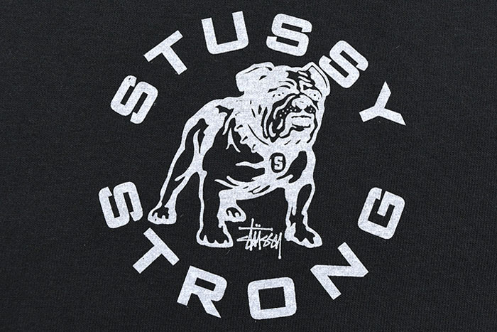 STUSSYステューシーのTシャツ Strong Mac Pigment Dyed05