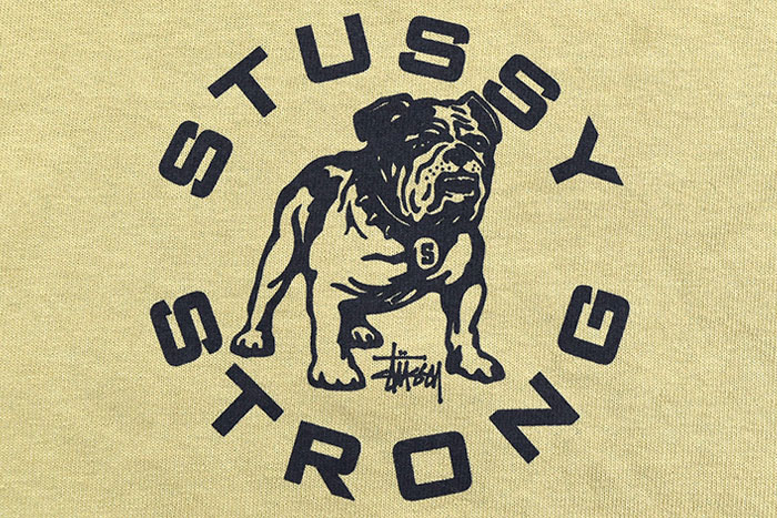 STUSSYステューシーのTシャツ Strong Mac Pigment Dyed06