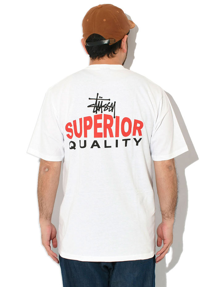 【掲載終了】STUSSY ステューシー BASIC TEE カットソー 半袖シャツ　Lサイズ　 STUSSY（ステューシー） Tシャツ 半袖 メンズ & レディース Basic
